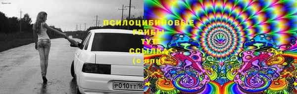 прущая мука Алзамай