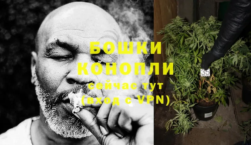 Бошки Шишки OG Kush  Алексеевка 